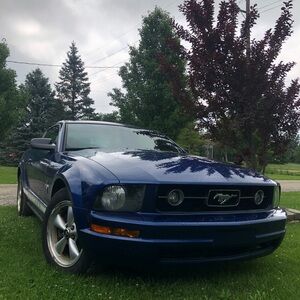 Live share show notice- like to be in the loop 💙 225